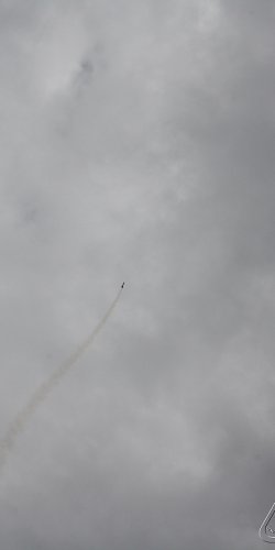 2013 Svojek Mirek Topinka